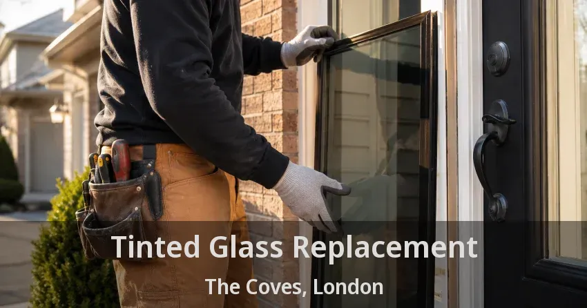 Tinted Glass Replacement The Coves, London - ON